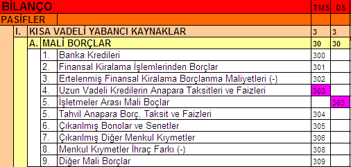 KISA VADELİ FİNANSAL (MALİ) BORÇLAR Mali Borçlar, Kredi kurumlarına olan kısa vadeli borçlar ile kısa vadeli para ve sermaye piyasası araçları (borçlanma