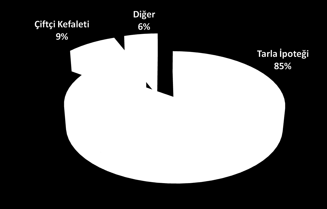 Tarımsal Kredilerde