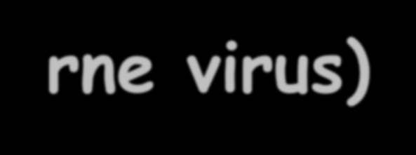 Arbovirus... (arthopod-borne virus) Artropod vektörler ile vertebralılar arasında nakledilen viruslar Robovirus.