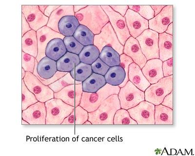 Tümör hücrelerinin ortam besiyerlerinin farklı miktarları ile HUVEC hücrelerini nasıl proliferasyona uğrattıklarını saptadık.