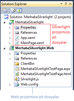 Silverlight uygulamamıza ait dosyalar ve Web sitemize ait dosyalar