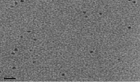 Manyetik nanoparçacıkların karakterizasyonu 20nm Fe 3 O 4 nanoparçacıklarının TEM görüntüsü.