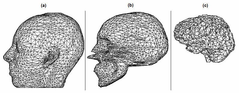 [13; 33; 78; 110; ve 116]. FEM yöntemi ile ortaya çıkarılan gerçekçi kafa modellerinden birisi Şekil 2.15 de görülmektedir. Şekil 2.14 BEM ile gerçekleştirilen bir gerçekçi kafa modeli.