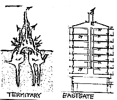 Şekil 51: Termit Yuvası, Eastgate Bina Çalışması, 1996 (http://uzweb.uz.ac.zw/science/maths/zimaths/52/eastgate.htm) Örümceklerin kurdukları ağlar, çalıların üzerine bırakılmış bir örtüye benzer.