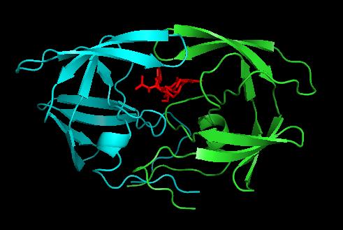 HIV-1 proteaz enzimi Hangi 8 lik AA dizilerini (substrat) tanır?