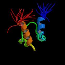 P73 kanser terapi için hedef bir protein protein-protein etkileşme ağ yapısı