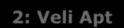 2: Veli Apt AY LTD.