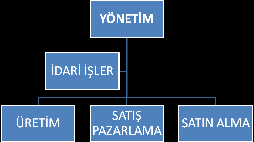 5.2. ORGANİZASYON