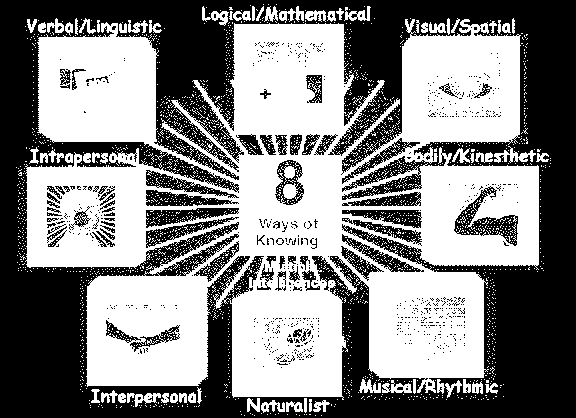 Sözel Dilsel Mantıksal Matematiksel Görsel Kişisel ÖĞRENMENİN 8