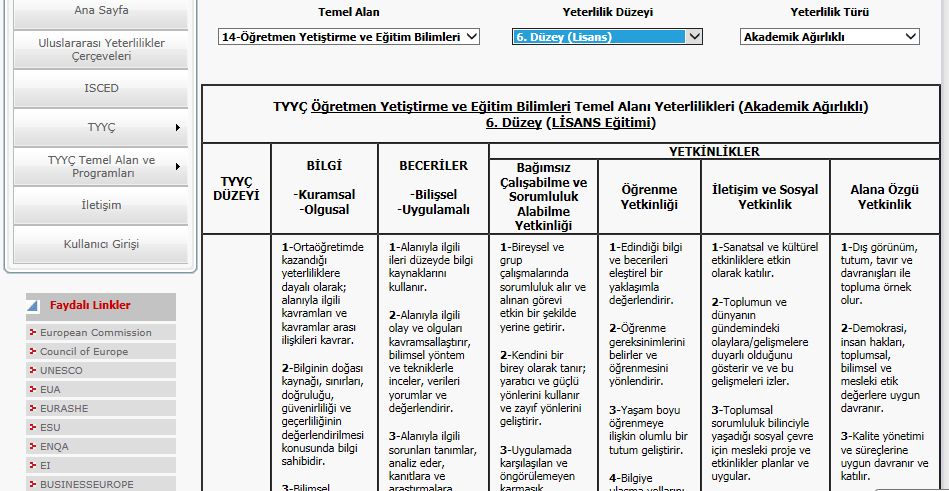 Temel Alan, Yeterlilik Düzeyi ve