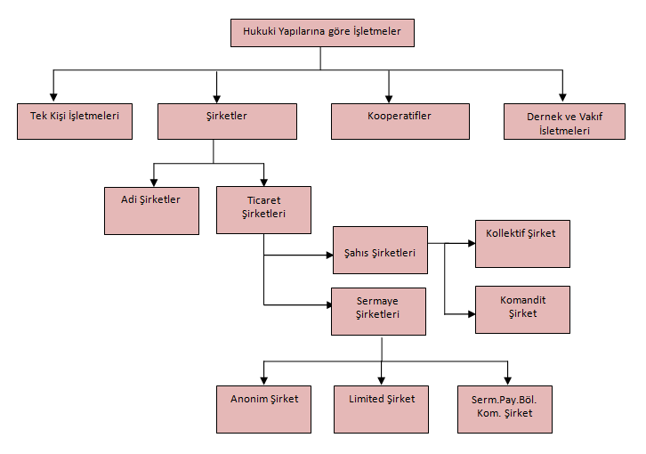 Bu unsurların var olması durumunda işletme, Ticaret Kanunu nun düzenlediği tacir işletme kapsamı içinde olacaktır. Türk Ticaret Kanunu na göre özel işletmeler hukuki açıdan Şekil 3.