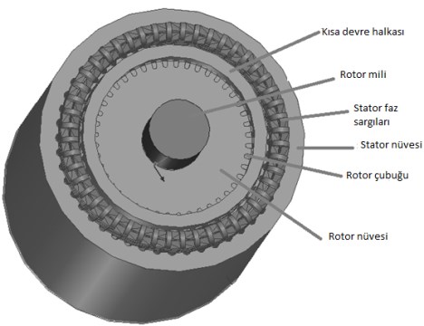 L = 250 mm Ø147,3 mm Ø48 mm (a) (b) (c) Şekil 4 (a) Rotor oyuk şekli, (b) 2D rotor nüvesi (c) 3D rotor nüvesi.