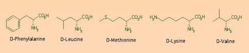 Protein moleküllerindeki amino asitler, L-stereoizomerlerdir.