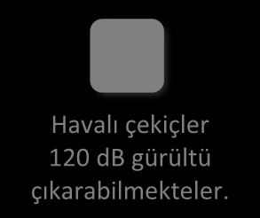 Gürültüye bağlı sürekli işitme kayıpları oluşabilmektedir. sağırlıkta duyma hücrelerinde organik bozukluklar oluştuğundan, bu tür sağırlıkların iyileşme sansı yoktur. Şekil 7.