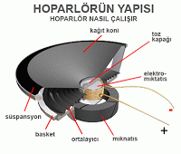 Dinamik (Hareketli Bobinli) Hoparlörler Bobinin sarıldığı diyaframın alt kısmı bir süspansiyon (esnek taşıyıcı) ile gövdeye tutturulmuştur.