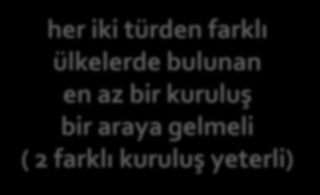 Avrupa Sanayi Doktora Programı (European Industrial Doctorates EID) Akademik Kuruluşlar Akademik Olmayan Kuruluşlar her iki türden farklı ülkelerde bulunan en az bir kuruluş bir araya gelmeli ( 2