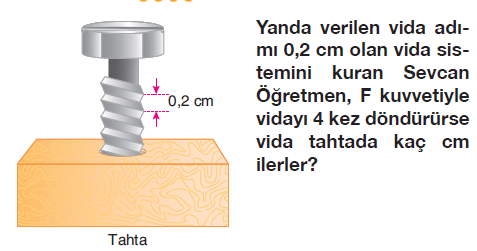 Örnekler