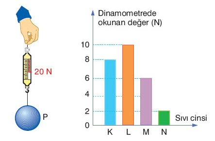 FEN VE TEKNOLOJİ DERSİ SORULARI. Yanda mitoz bölünme sırasında X ve Y hücrelerinde meydana gelen sitoplazma bölünmeleri verilmiştir. Buna göre X ve Y hücreleri hangi canlılara ait olabilir? 1.