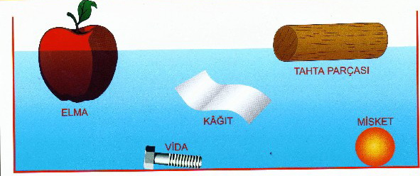 III. IV. Yoğunlukları Kaldırma Kuvvetleri A) I ve III B) II ve III C) I, III, ve IV D) I, II ve IV 66. K kahverengi göz geni, k yeşil göz rengi genini temsil etmektedir.