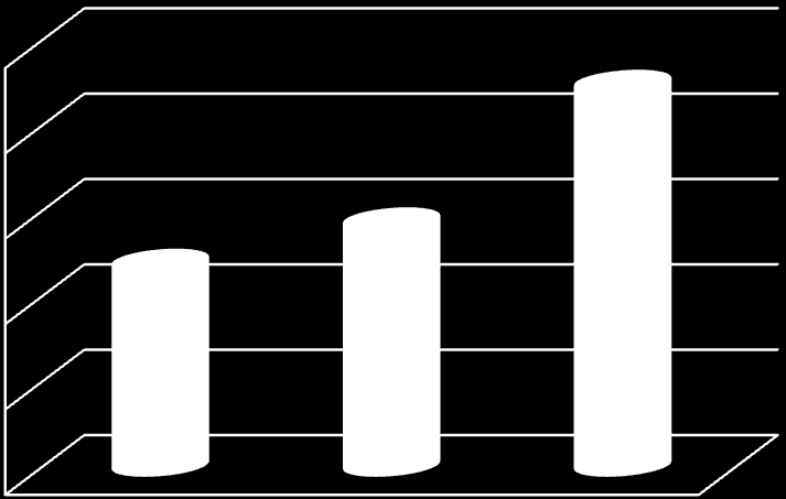 2007 80.299,56-2008 182.493,36-2009 245.201,30-2010 444.636,74-2011 451.483,63-2012 494.558,19-2013 514.147,53-2014 488.223,82-600.000,00 500.000,00 400.000,00 300.000,00 200.000,00 100.