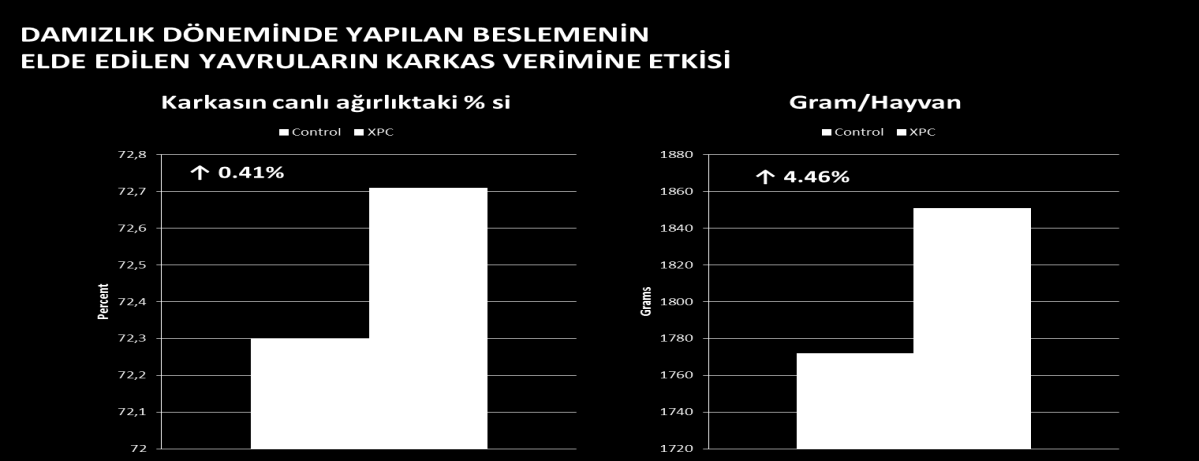 Yavru Performansı «DiamuneSe etkisi ile gelişen kazanılmış