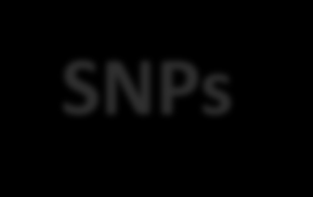 NIPT Metodları COUNTING SNPs MPSS Massively Parallel Shotgun Sequencing DANS+FORTE Targeted