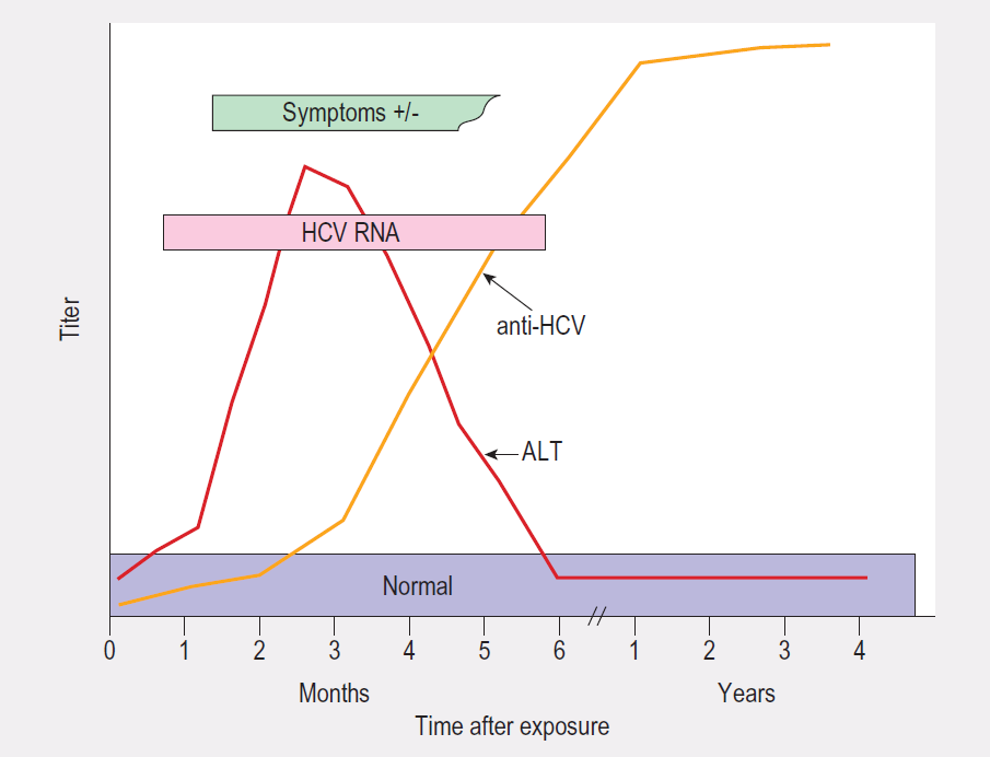 HCV Göstergelerinin