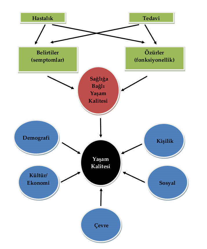 Sağlıkla İlgili Yaşam Kalitesi Sağlıkla ilgili olan Hastalık