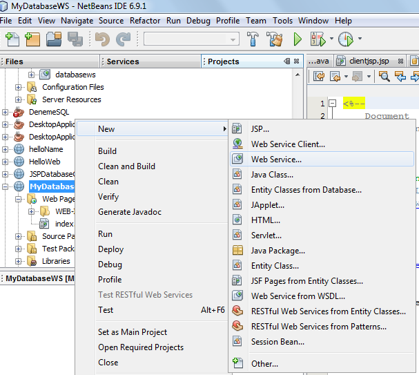 5. Sonuç olarak size MyDatabaseWS isimli bir proje yaratacaktır. WebService Yaratma 1. MyDatabaseWS üzerinde sağ-tık yapınız.