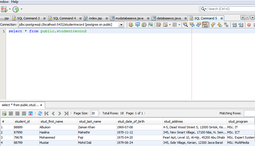 2. Karşınıza sonucu gösteren yeni bir sql penceresi açılacaktır. 2.