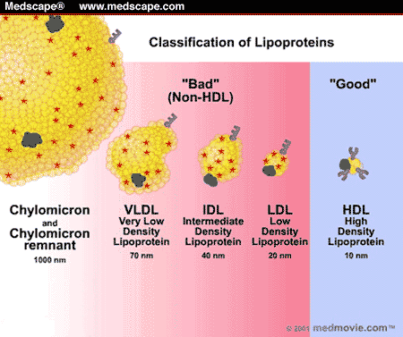 Lipoproteinlerin