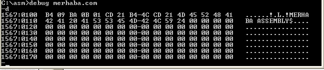 Program kodlarını görmek için d enter yazıyoruz. Debug ın d komutu "dump" anlamına gelip kodları ekrana yada kağıda dökmeye yarar. Bizde burada kodları ekranda aldık.