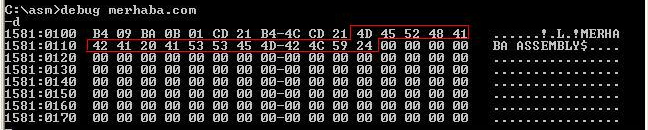Kırmızı ile işaretli olan kısımdan öncekiler yani 0100h ile 010Ah adresleri arasında kalan kısım komut kodlarımızdır.