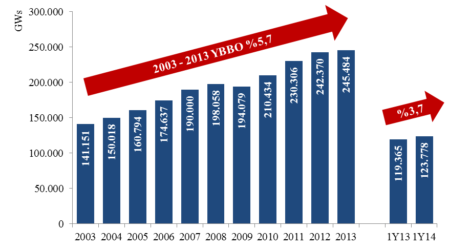 HES Grubu Türkiye de elektrik tüketimi, 2008 yılında yaşanan global ekonomik krizin etkisi ile 2009 yılında %2 oranında düşmüş ancak, 2010 yılından itibaren tekrar artış trendine girmiştir.