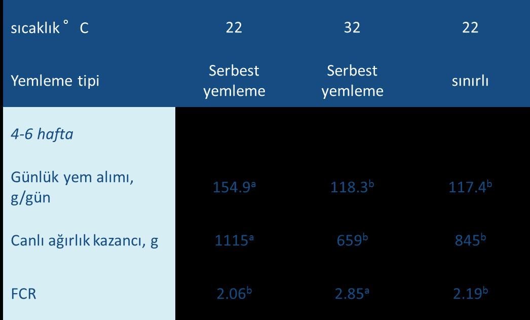 Sıcaklık Stresinin 4-6 aftalık Erkek Broylerlerin Performanslarına ve Yem Tüketimine Etkisi «Normal ve yüksek