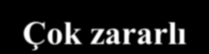 Yarı tarla ve tarla sınıf değerleri Sınıf değeri Etki (%) Zararlılık sınıfı 1N