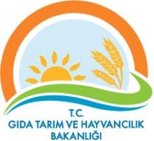 Türkiye de GDO lar ile ilgili durum Yem amaçlı kullanım için 3 adet soya çeşidi 26 Ocak 2011 Bugüne kadar