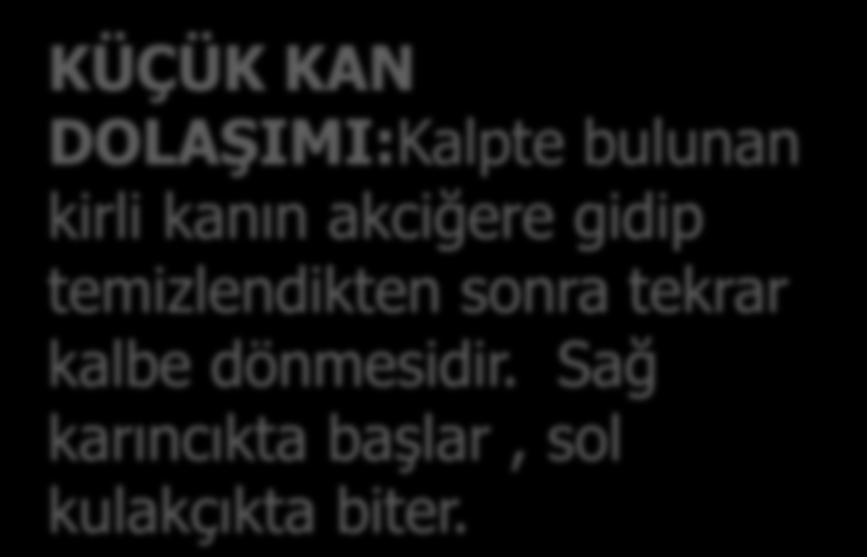 arındırılmalı KÜÇÜK KAN DOLAŞIMI:Kalpte bulunan kirli kanın akciğere gidip temizlendikten sonra