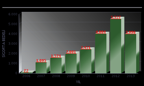 2006-2013 ARASINDA KAYDEDİLEN GELİŞMELER