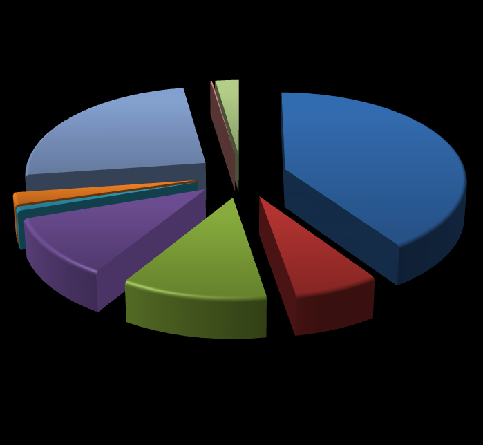 Grafik 40 - Ekonomik Koda Göre 2009 Yılında Düzenlenmiş Muhasebe İşlem Fişleri 01 Personel Giderleri 0% 2% 03.2 Tük. Yön. Mal ve Malz. Alımları 03.3 Yolluklar 25% 40% 03.