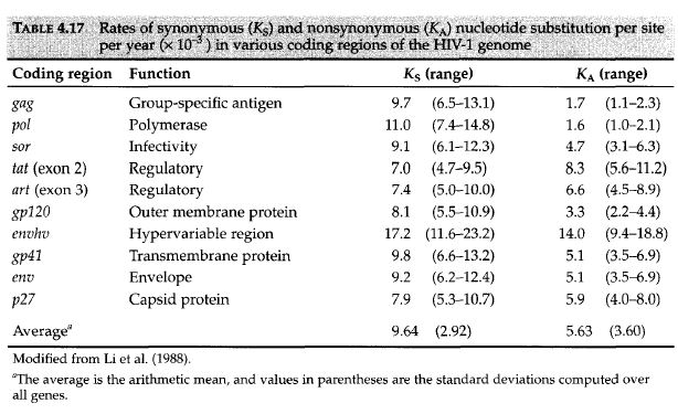 Yrd.Doç.Dr.