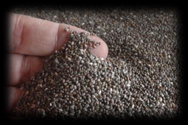 Chia Tohumu ( Chia seed )/ Bolivya 100 Gr için Besin değerleri İçerik Miktar Protein 18-20 gr Fiber 34-38 gr Yağ 25-26 gr Omega 3 %17.