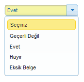 Ön İnceleme Bilgileri Penceresi Ön İnceleme Bilgileri ekranında Uygunluk Kriterleri, İdari Kontrol Kriterleri, Destekleyici Belge Listesi ve Eksik Evrak Listesi bulunmaktadır.