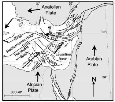 Şekil 22 Doğu ve Orta Akdeniz Levha Tektonik Modeli. (ES) Eratosthenes denizdağını, (O) okyanus ve (C) kara yerkabuğunu temsil etmektedir. (Harrison et al.