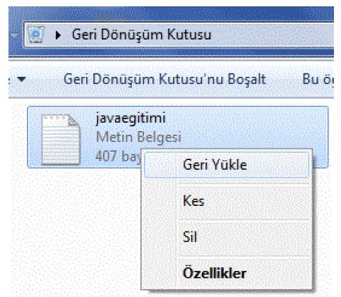 Geri Dönüşüm Kutusu: Silinen dosya ve/veya klasörlerin geçici olarak depolandığı özel bir klasördür.