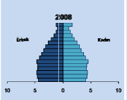 Türkiye nüfusunun 1985 ve 2008 deki durumunu gösteren bu iki nüfus piramidi 60 yaş üstü nüfustaki artışı gösterdiği gibi, geleceğe dair tahmin yapmayı da mümkün kılıyor.