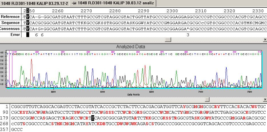 konsantrasyonunda 64 C bağlanma sıcaklığında hazırlanan PCR sonucu Şekil 4.26 da gösterilmiştir.