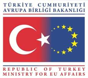 Türkiye nin AB üyeliğine hazırlanmasında; Kamu kurum ve kuruluşları arasında