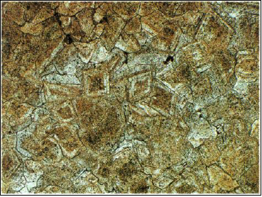 Resim 20. Boyanmış kesit, Alt Karbonifer, İngiltere, X20, tek nikol. Resim 20 % 20-30 dolomit içeren bir dolomitik kireçtaşını göstermektedir.