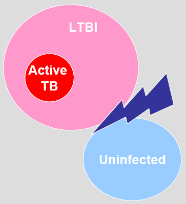 Aktif TB tanısında rehber önerileri ÖZET: IGRA kullanılması önerilmemektedir.